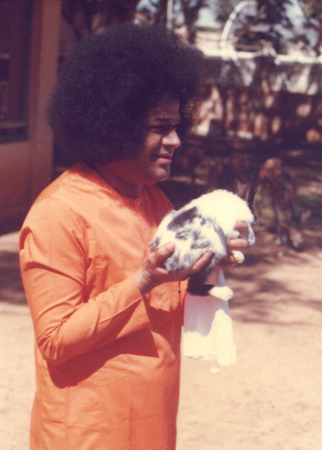 Beloved Bhagawan Sri Sathya Sai Baba